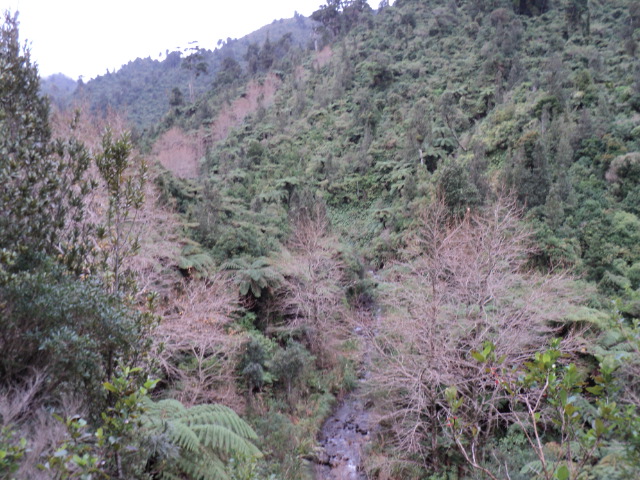 Name:  picture 4117.jpg
Views: 1048
Size:  164.4 KB