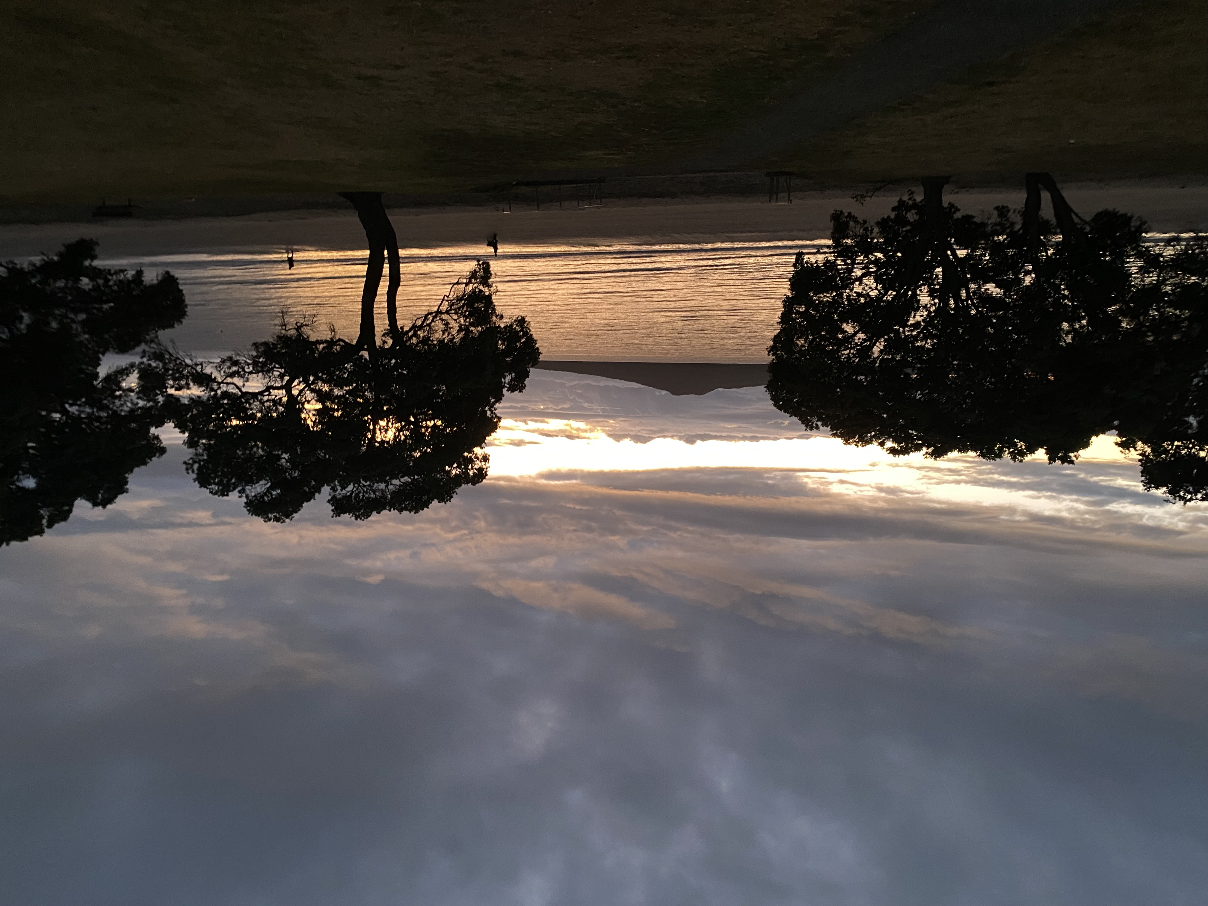 Name:  IMG_3238.jpeg
Views: 203
Size:  2.05 MB