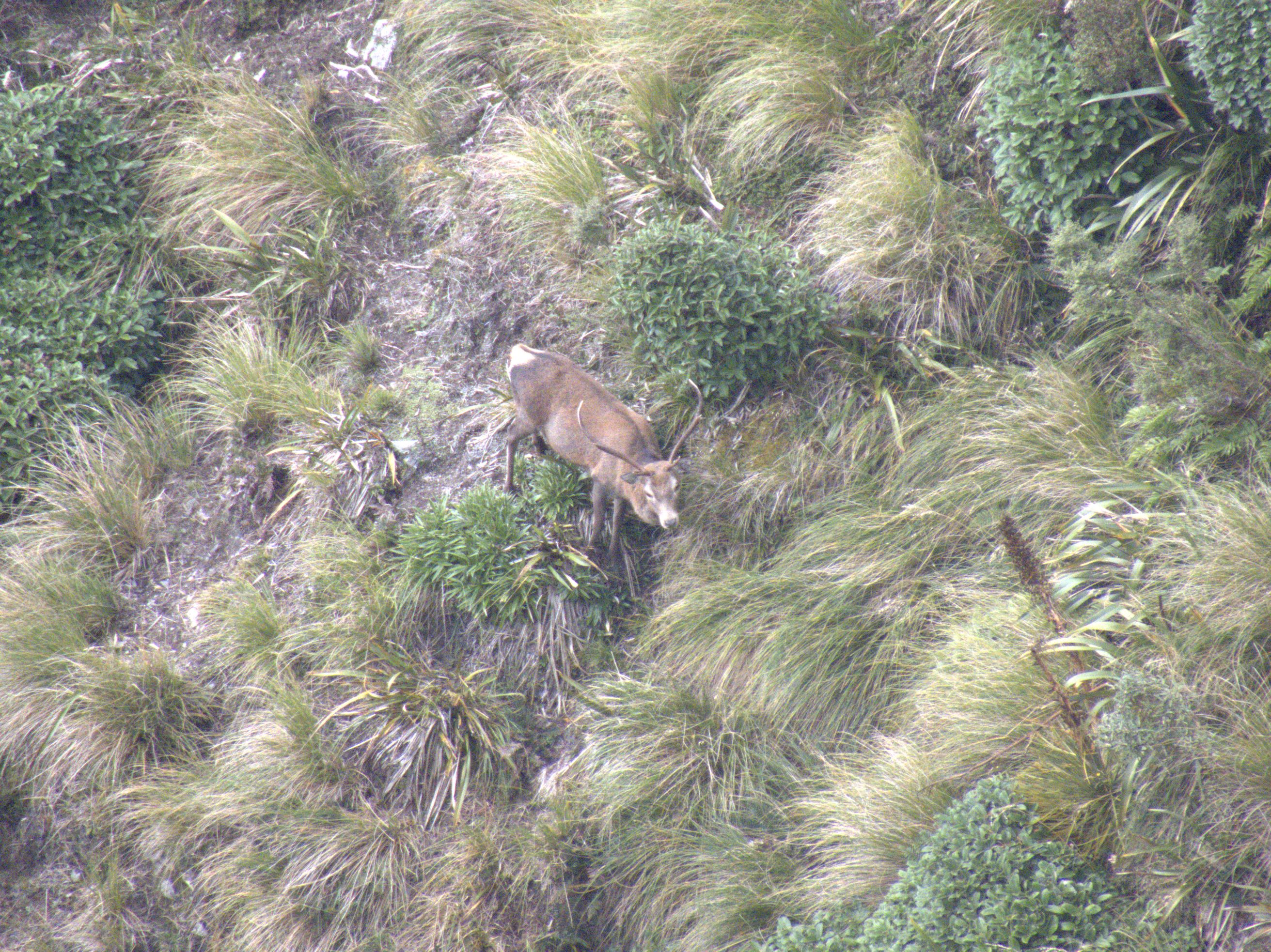 Name:  IMG_0717.jpg
Views: 131
Size:  1.30 MB