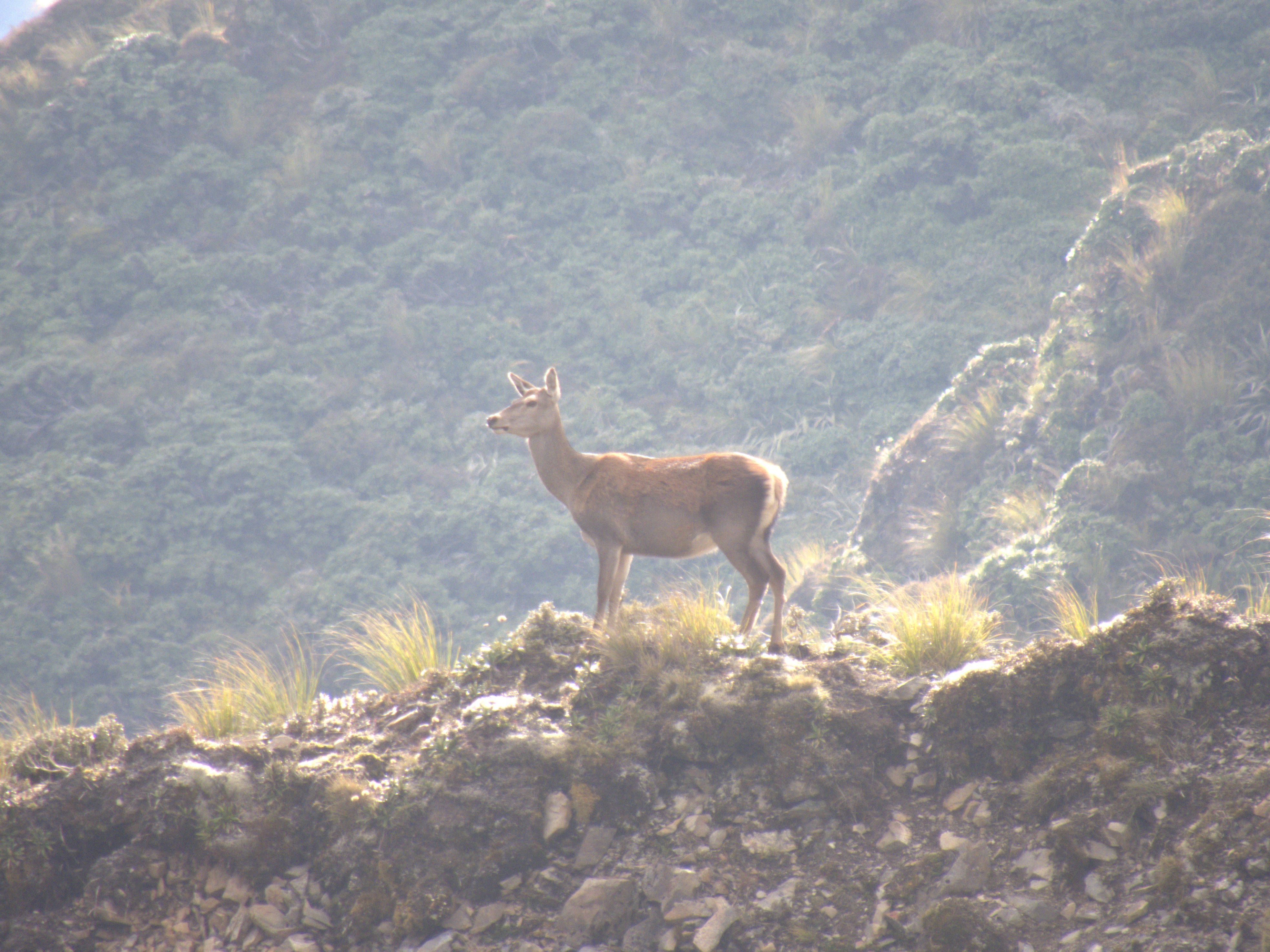 Name:  IMG_0726.jpg
Views: 130
Size:  1.43 MB