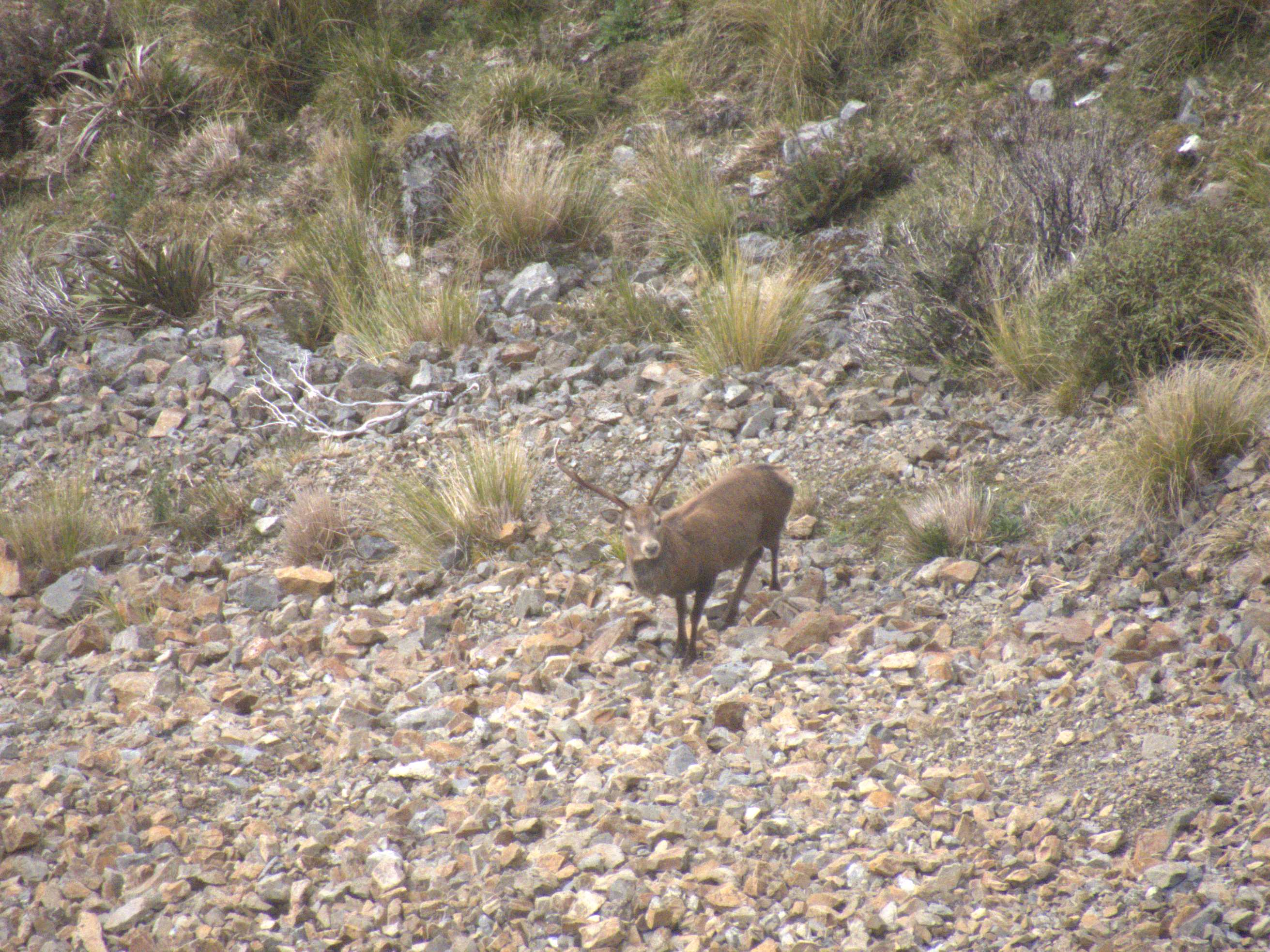 Name:  IMG_0719.jpg
Views: 128
Size:  641.3 KB