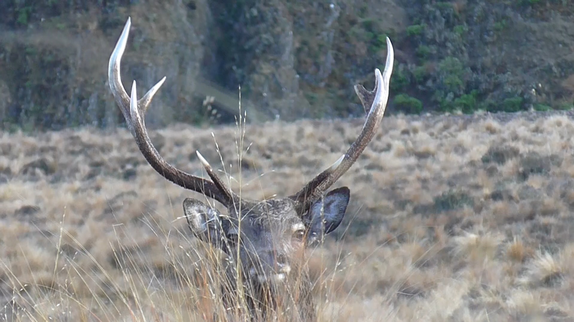 Name:  VideoCapture_20250421-144101.jpg
Views: 84
Size:  565.9 KB