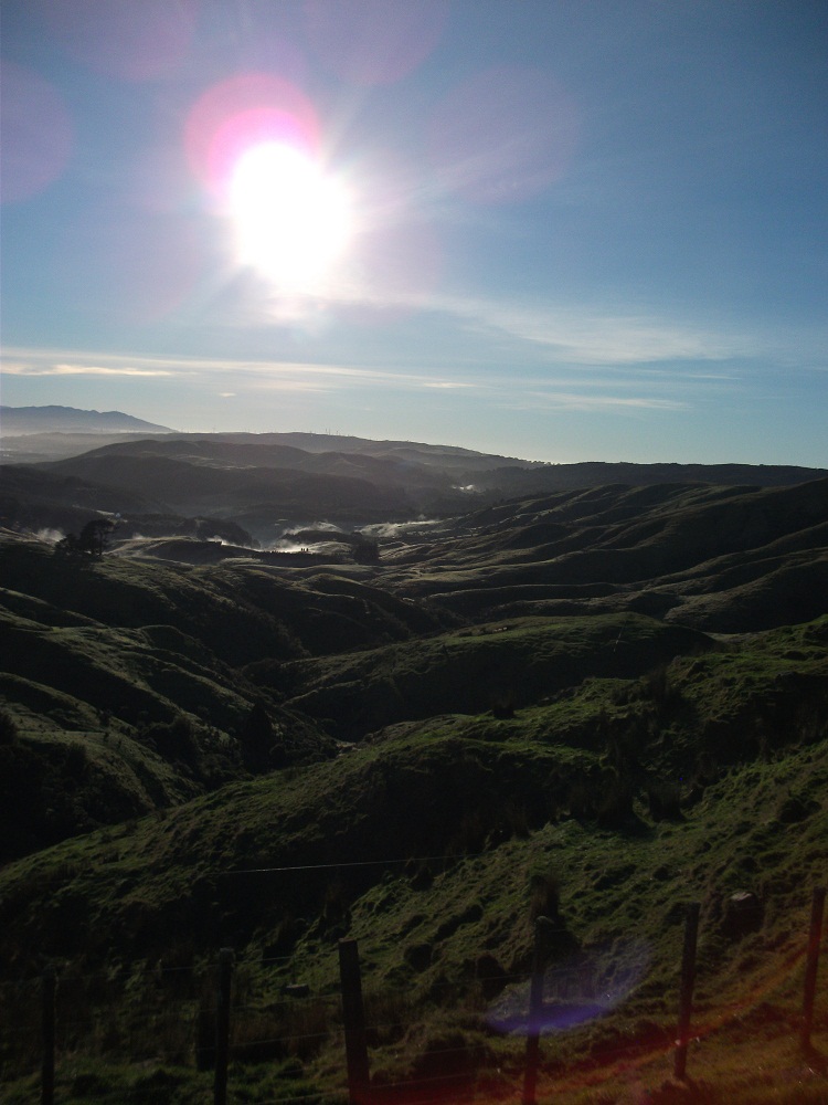 Name:  wk 14.JPG
Views: 676
Size:  246.0 KB