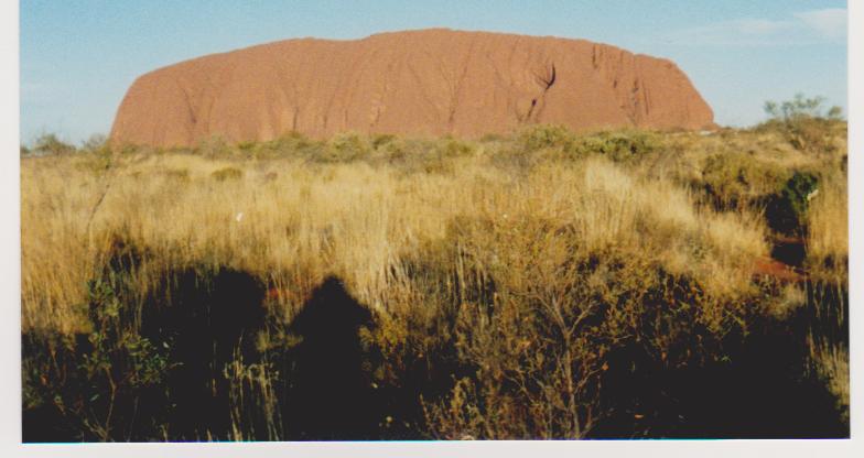 Name:  picture 001.jpg
Views: 163
Size:  43.8 KB