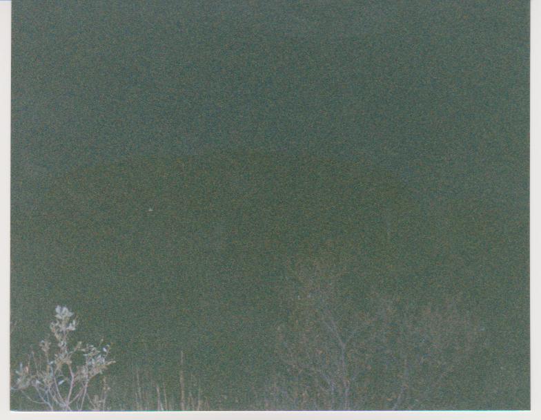 Name:  picture 015.jpg
Views: 182
Size:  64.0 KB