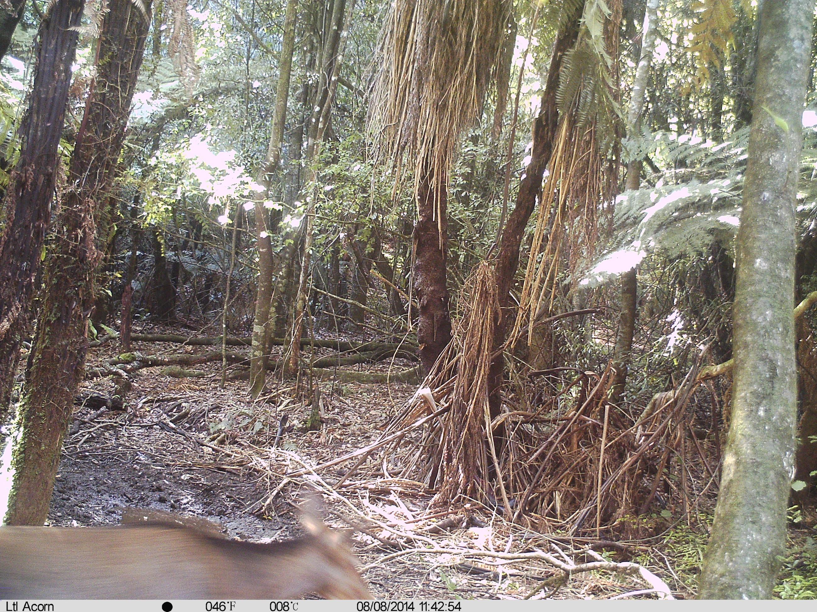 Name:  IMAG0196.jpg
Views: 577
Size:  1.18 MB