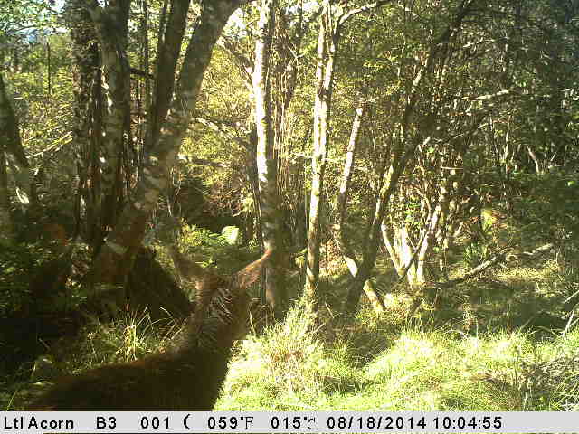 Name:  image0_zpsfcbfa657.jpg
Views: 1018
Size:  48.3 KB