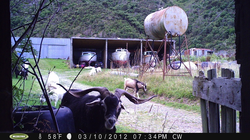 Name:  PICT0231.JPG
Views: 1266
Size:  329.5 KB