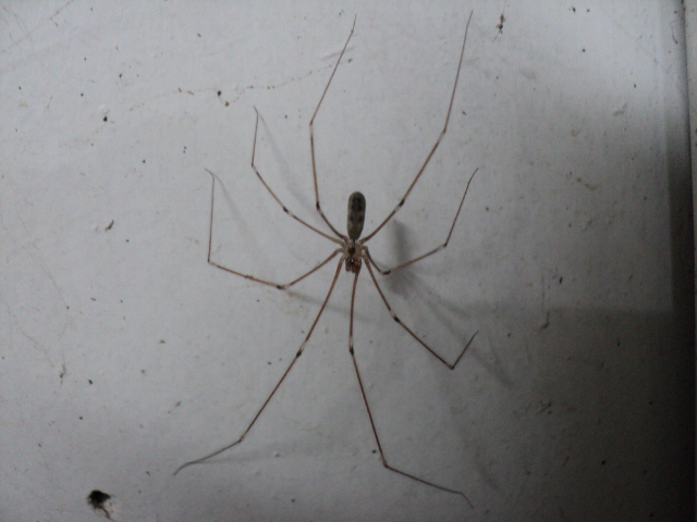 Name:  picture 4260.jpg
Views: 265
Size:  155.9 KB