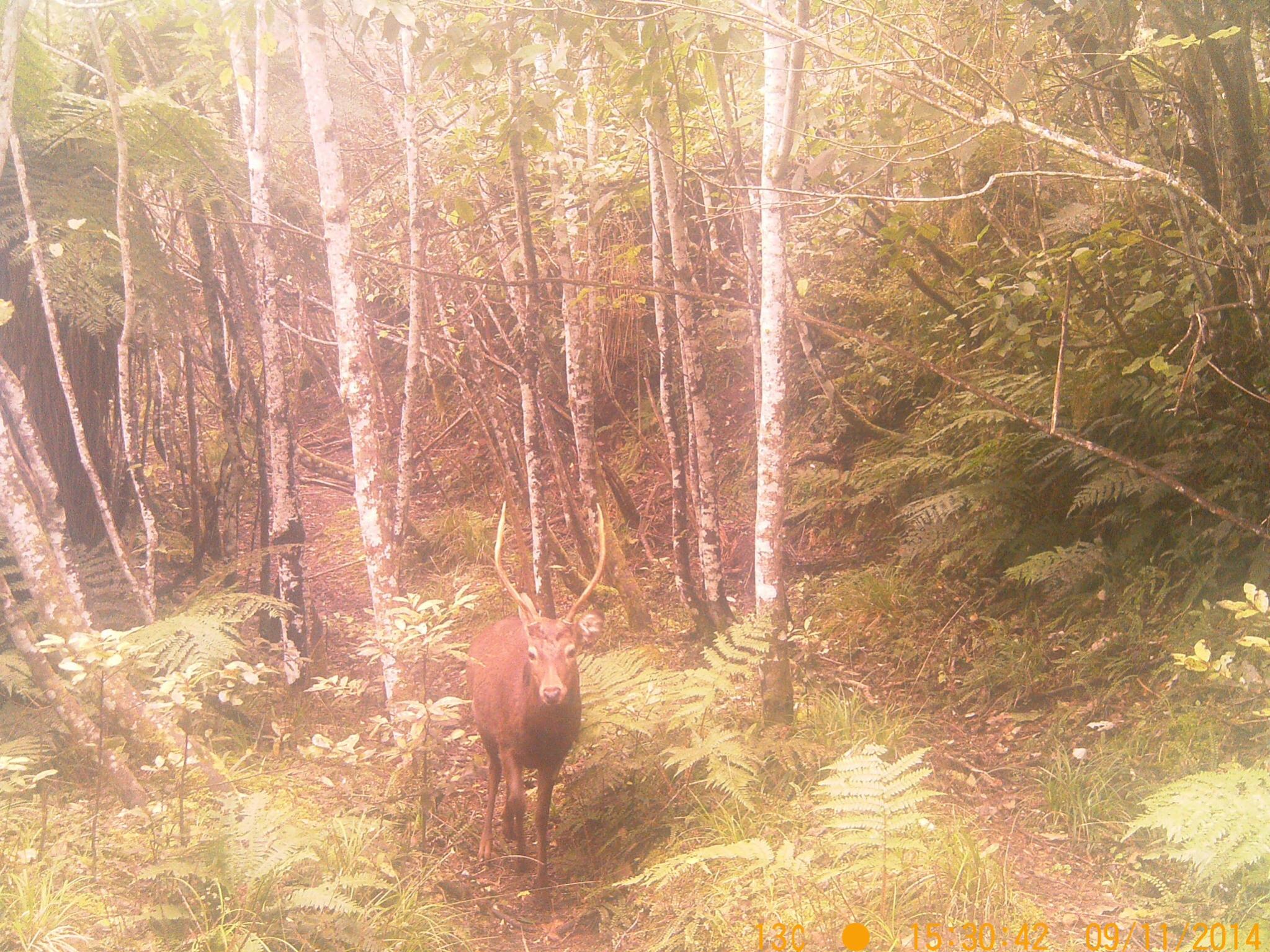 Name:  image.jpg
Views: 872
Size:  621.7 KB