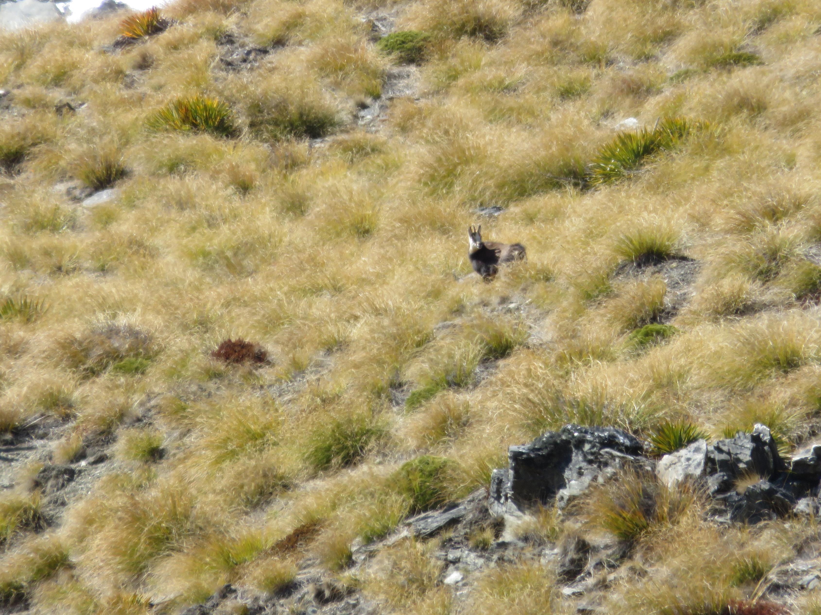 Name:  IMG_0163.jpg
Views: 705
Size:  1.06 MB