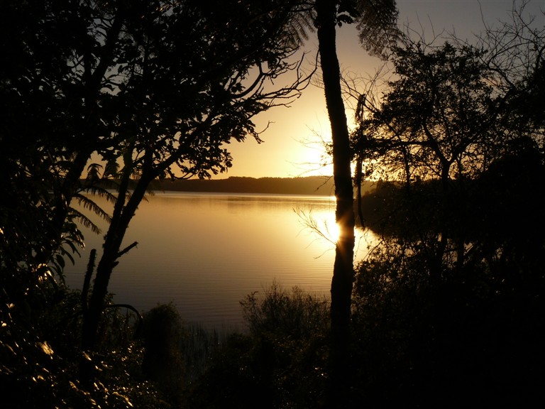 Name:  Lake Rotoehu.jpg
Views: 488
Size:  118.8 KB