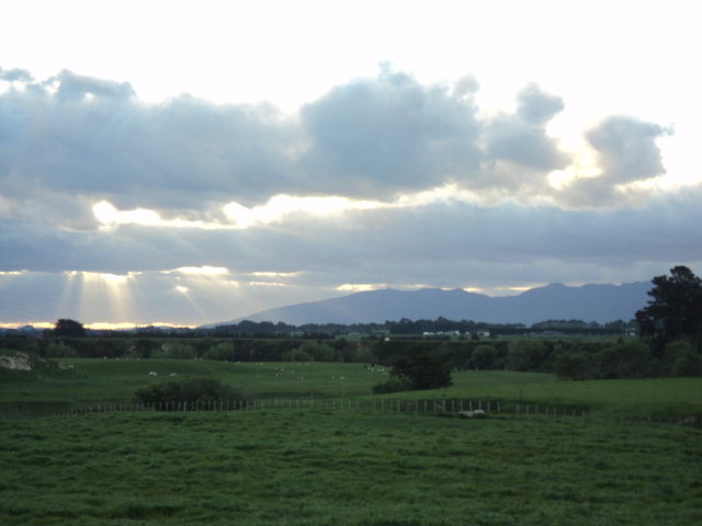 Name:  picture 4560.jpg
Views: 272
Size:  155.3 KB