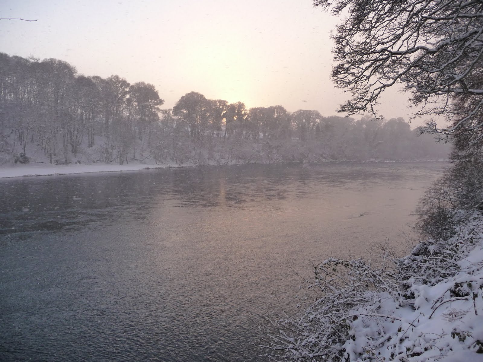 Name:  snowy.JPG
Views: 668
Size:  305.0 KB