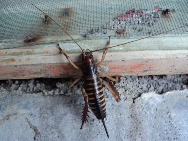 Name:  picture 4864.jpg
Views: 271
Size:  163.9 KB