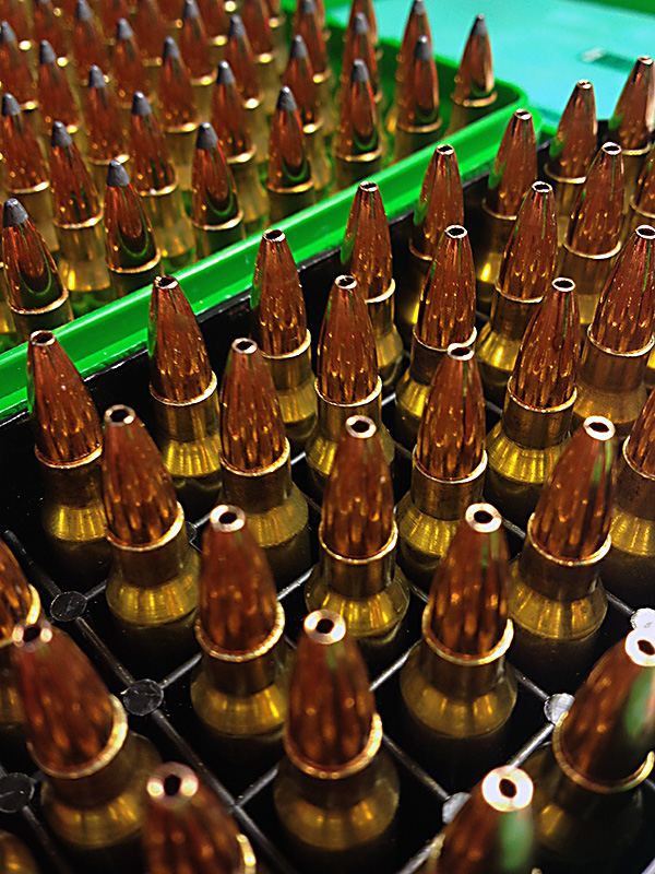 Name:  al_bullets.jpg
Views: 699
Size:  272.5 KB