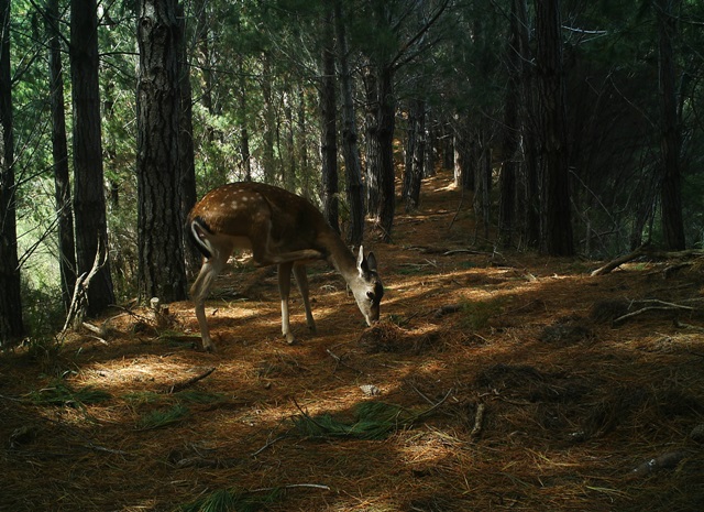 Name:  IMAG0429.jpg
Views: 655
Size:  148.9 KB