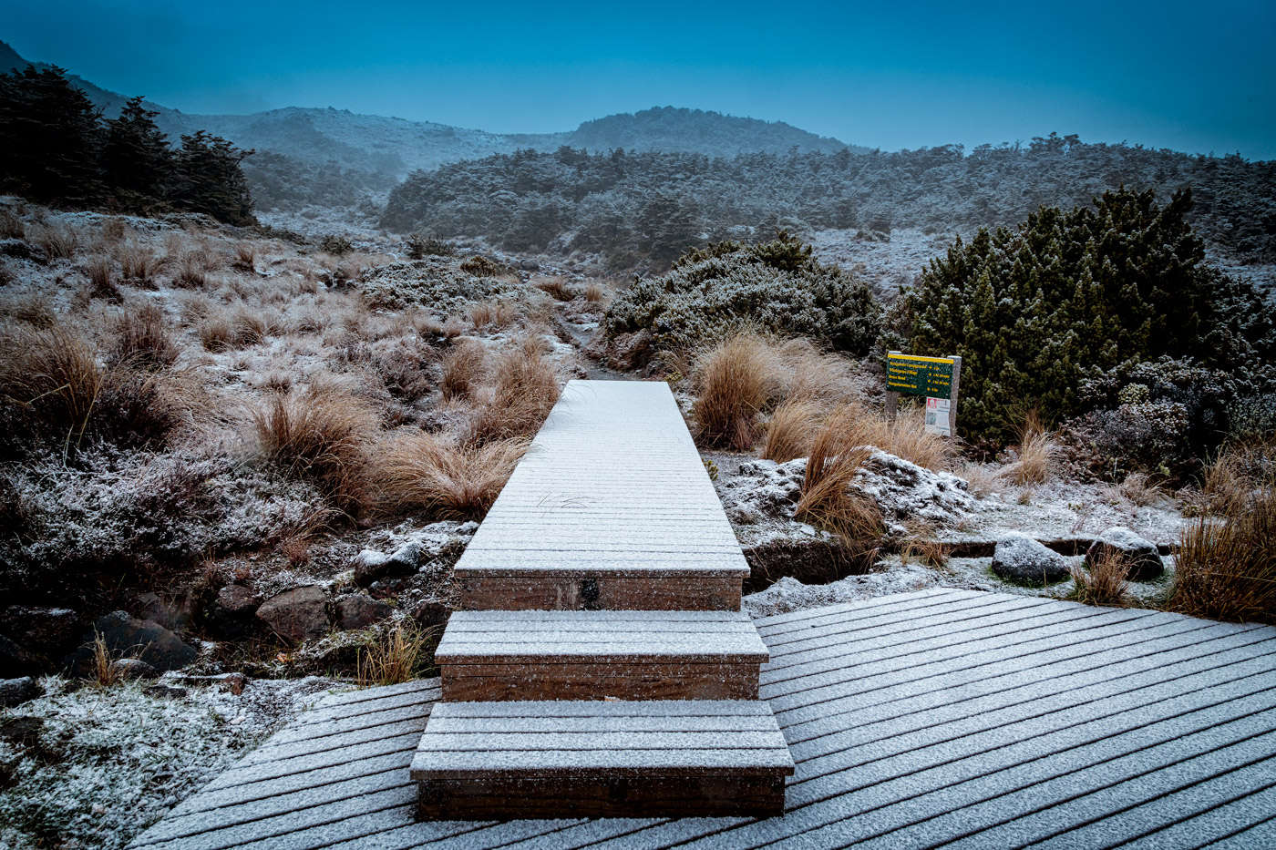 Name:  snowwalk.jpg
Views: 508
Size:  624.7 KB