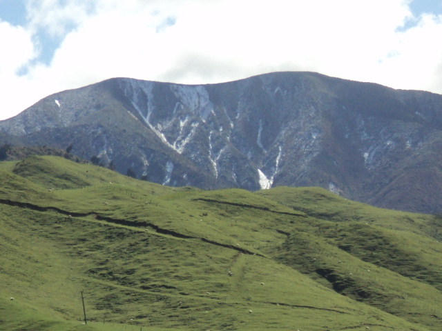 Name:  picture 322.jpg
Views: 2415
Size:  163.4 KB