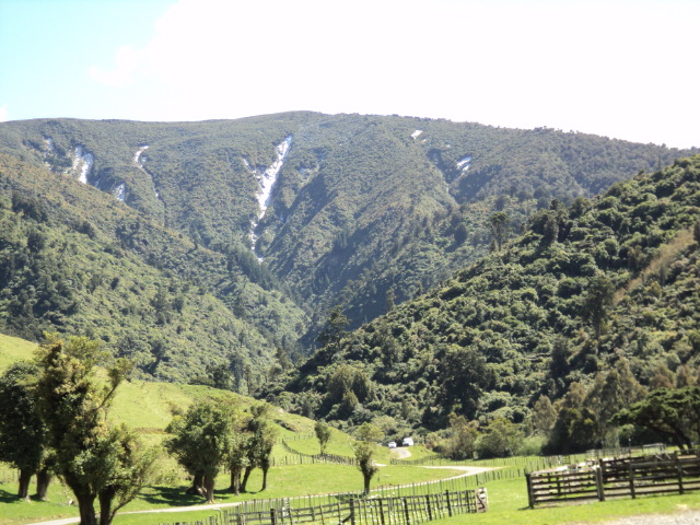 Name:  picture 319.jpg
Views: 2266
Size:  165.2 KB