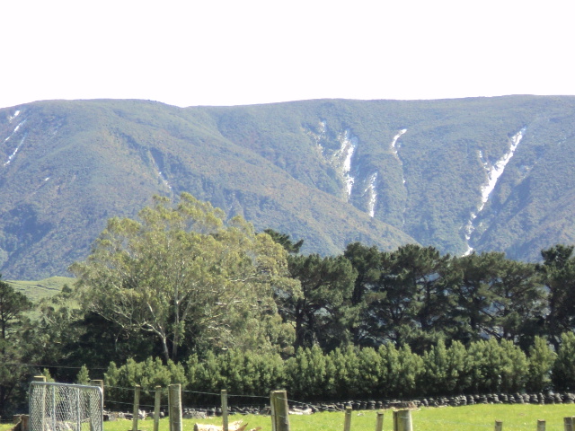 Name:  picture 325.jpg
Views: 2262
Size:  163.5 KB