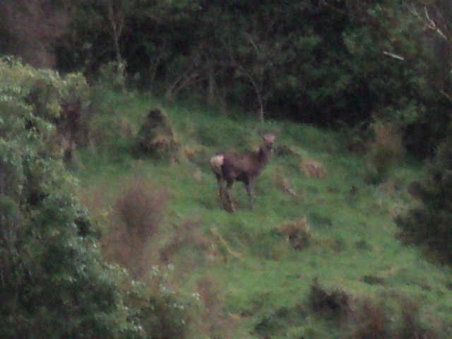 Name:  picture 341.jpg
Views: 548
Size:  162.7 KB