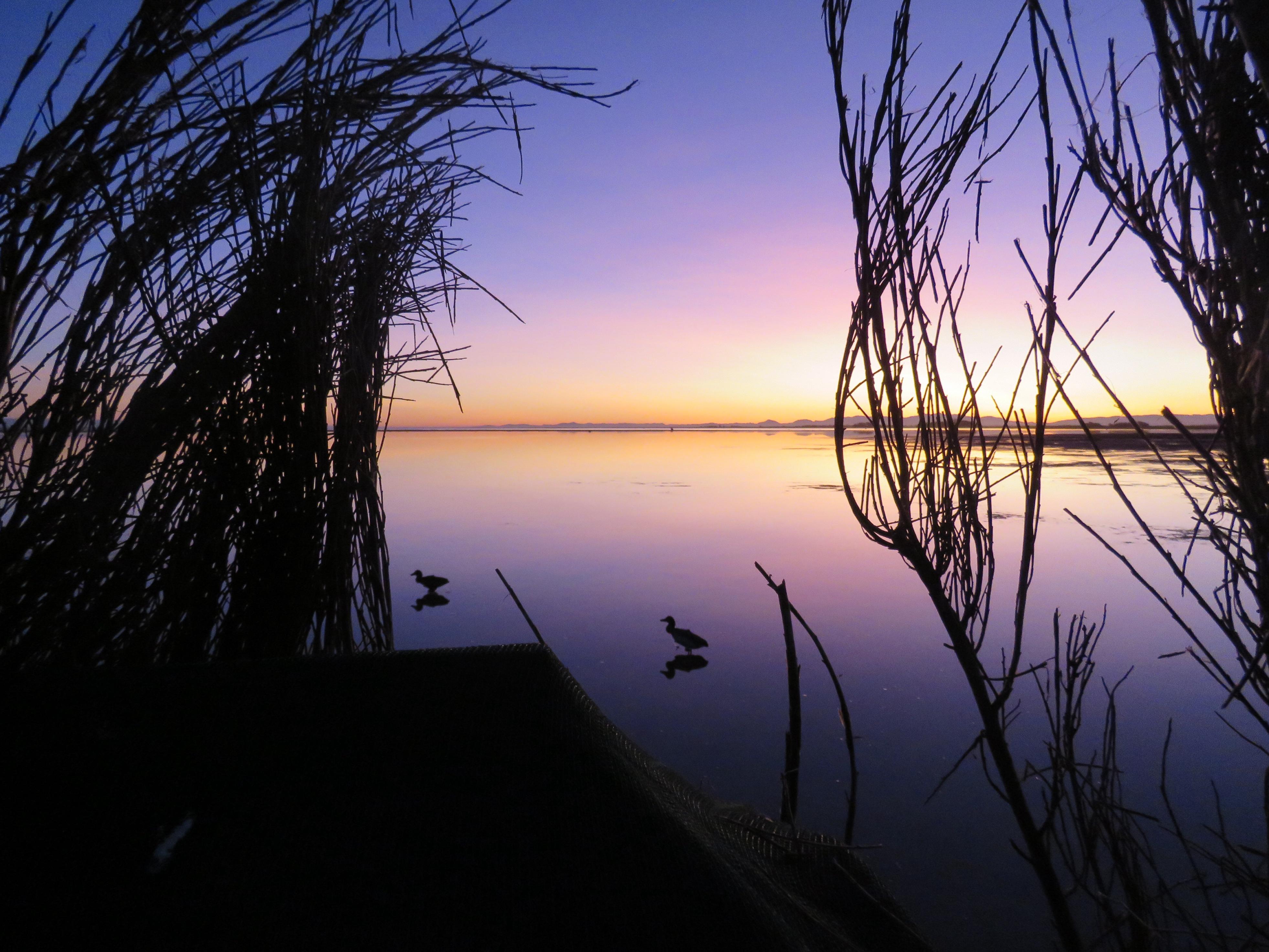 Name:  image.jpg
Views: 207
Size:  1,013.6 KB