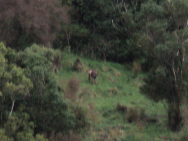 Name:  picture 338.jpg
Views: 451
Size:  165.3 KB