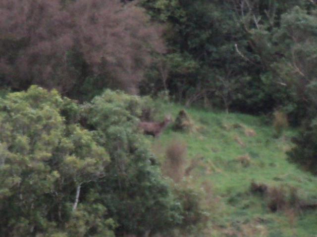 Name:  picture 336.jpg
Views: 441
Size:  164.1 KB