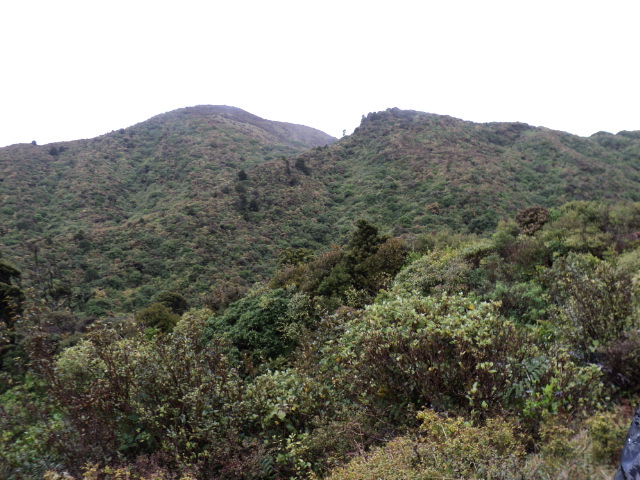 Name:  picture 348.jpg
Views: 462
Size:  163.1 KB