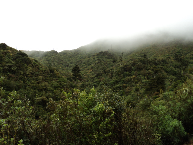 Name:  picture 346.jpg
Views: 578
Size:  164.1 KB