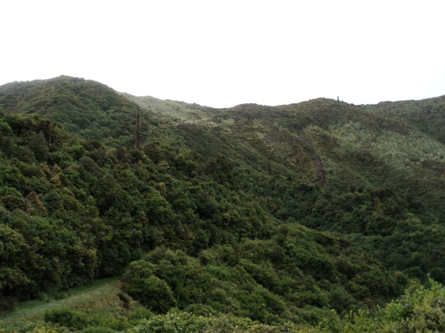 Name:  picture 356.jpg
Views: 511
Size:  163.5 KB