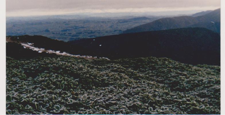 Name:  picture 359.jpg
Views: 841
Size:  46.7 KB
