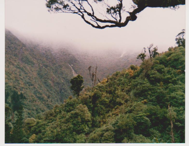 Name:  picture 362.jpg
Views: 778
Size:  64.1 KB