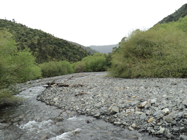 Name:  picture 384.jpg
Views: 2211
Size:  165.2 KB