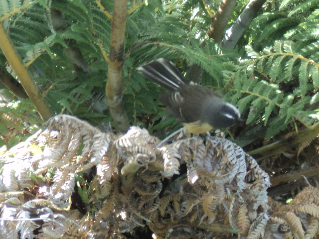 Name:  picture 6281.jpg
Views: 388
Size:  164.9 KB