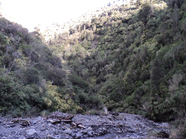 Name:  picture 6392.jpg
Views: 1218
Size:  165.2 KB