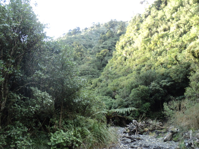Name:  picture 6393.jpg
Views: 1158
Size:  165.2 KB