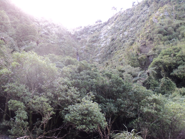Name:  picture 6394.jpg
Views: 1217
Size:  164.1 KB