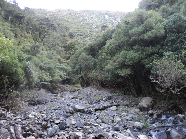 Name:  picture 6395.jpg
Views: 1210
Size:  165.1 KB