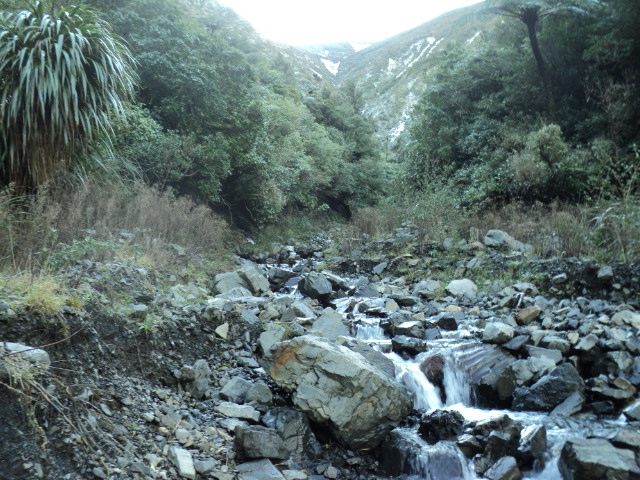 Name:  picture 6396.jpg
Views: 1202
Size:  164.9 KB