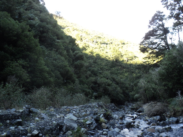 Name:  picture 6398.jpg
Views: 1173
Size:  165.3 KB