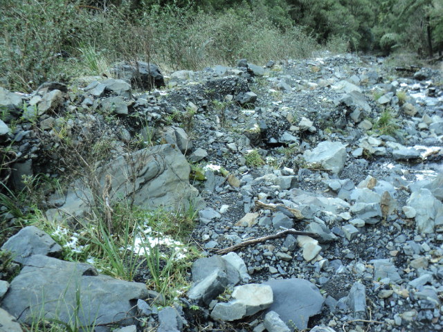 Name:  picture 6399.jpg
Views: 1238
Size:  165.2 KB