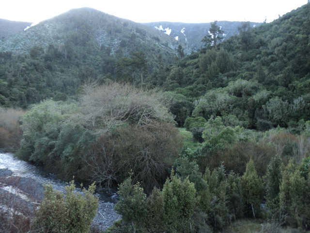 Name:  picture 6401.jpg
Views: 590
Size:  165.0 KB