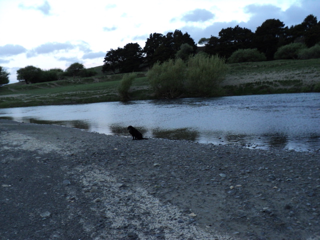 Name:  picture 438.jpg
Views: 805
Size:  163.4 KB