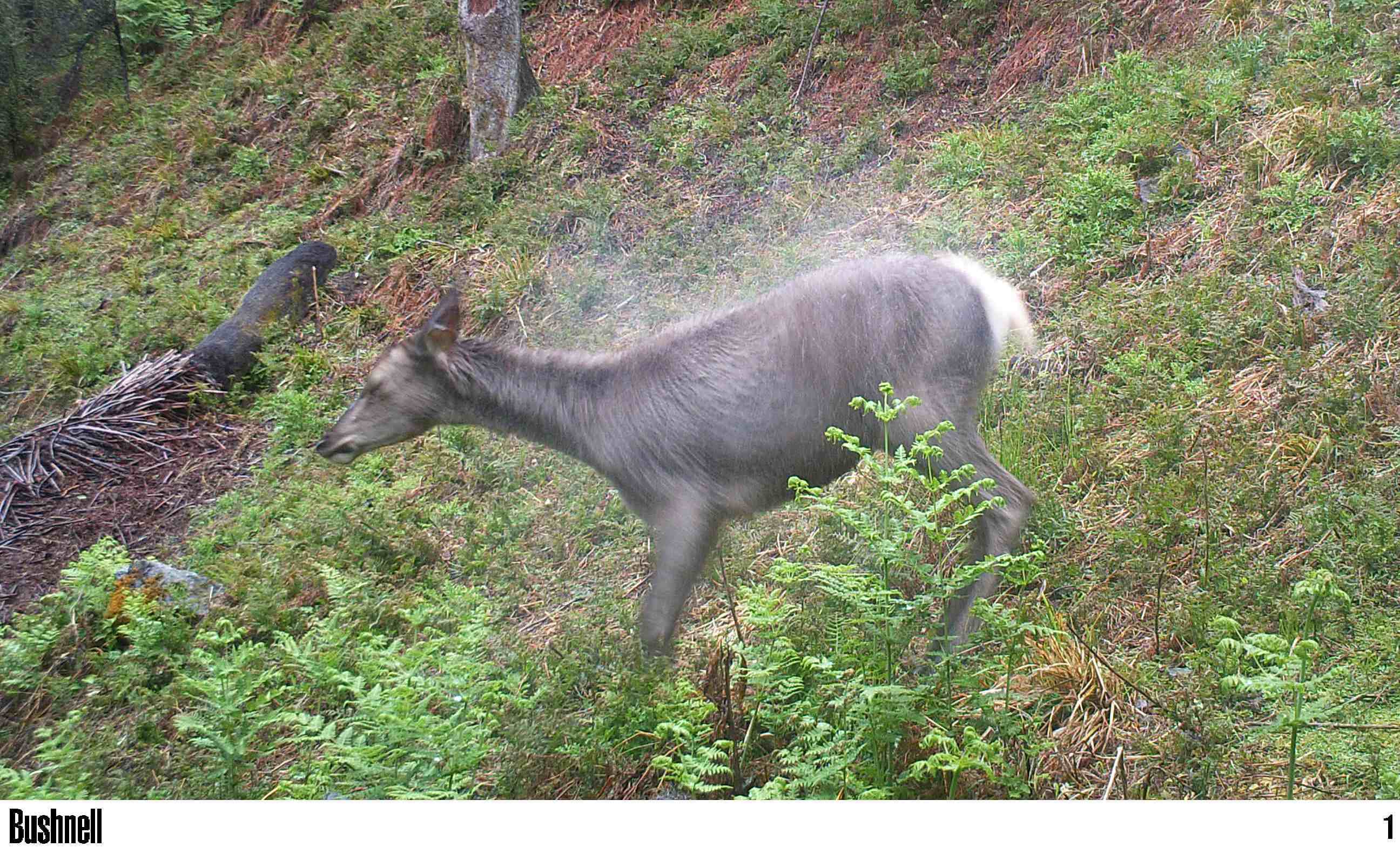 Name:  Doin' the dog.JPG
Views: 812
Size:  479.4 KB
