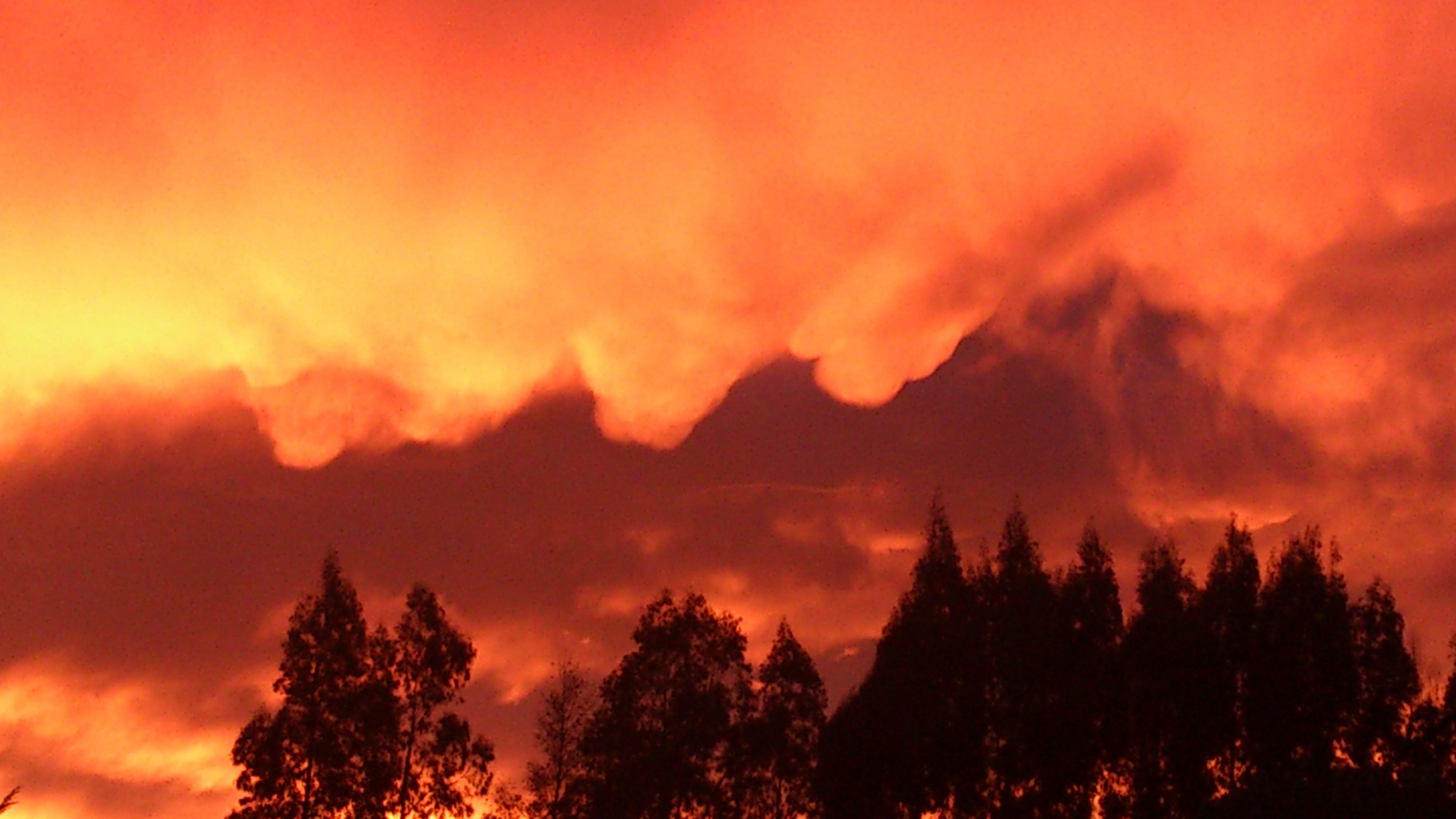 Name:  DSC_0012.jpg
Views: 419
Size:  389.0 KB