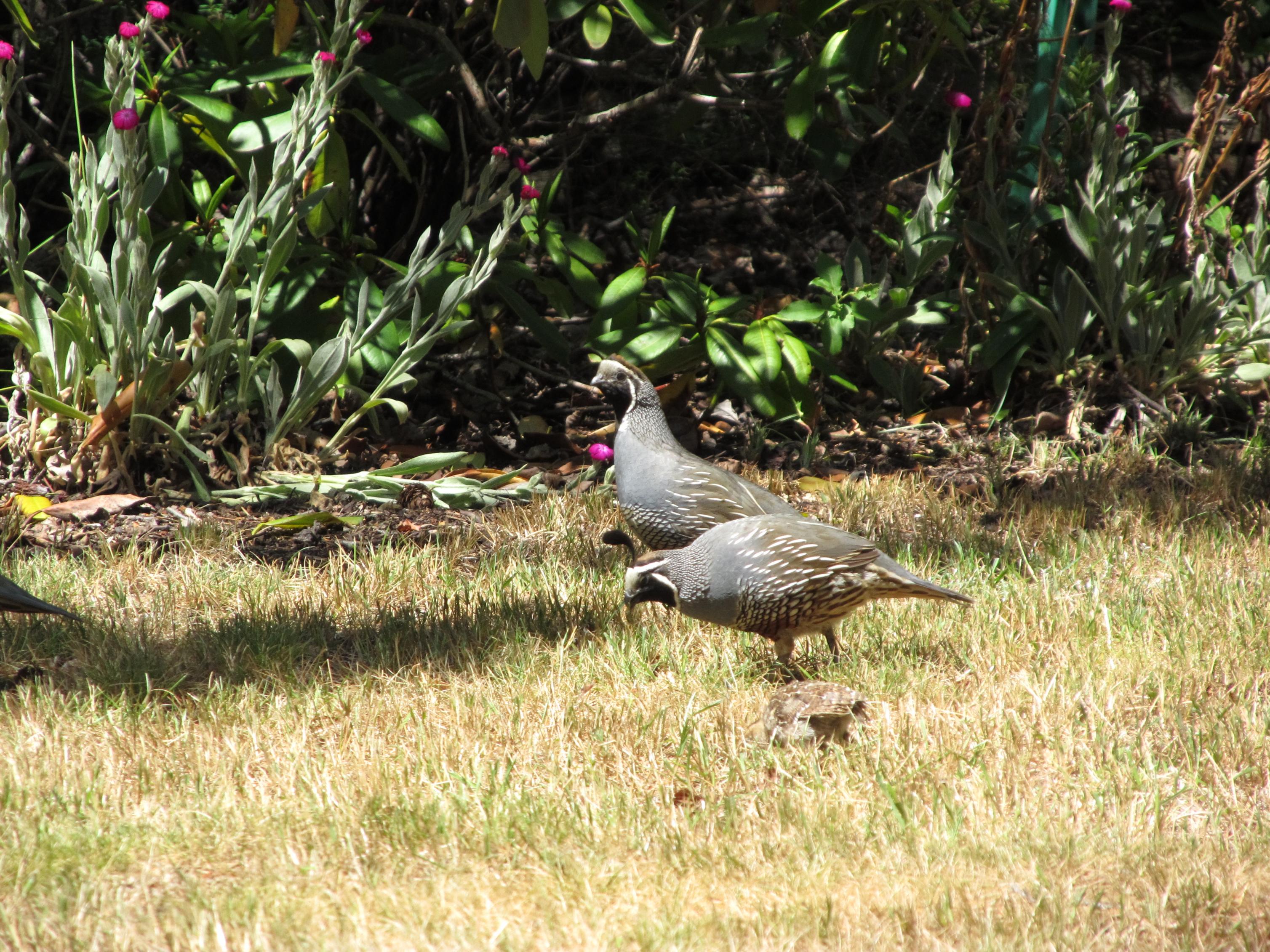Name:  IMG_0750.jpg
Views: 294
Size:  1.05 MB