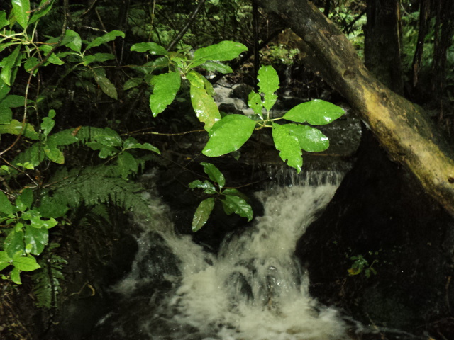 Name:  picture 8197.jpg
Views: 575
Size:  164.7 KB