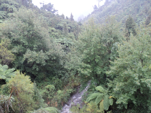 Name:  picture 8199.jpg
Views: 510
Size:  162.9 KB